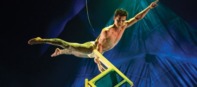 casestudy_cirque