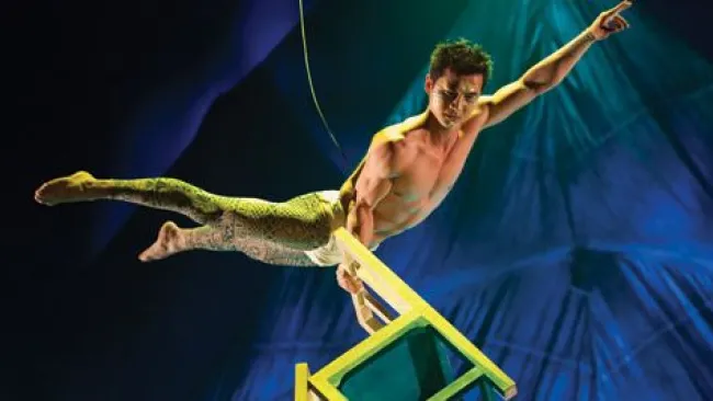 casestudy_cirque